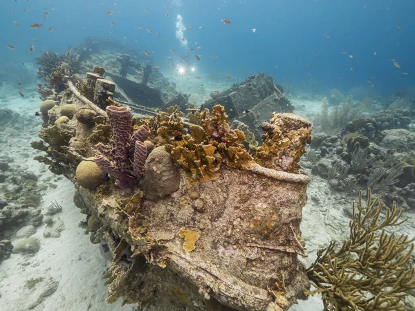 Dykare Och Fartyg Vrak Tugboat Saba Grunt Vatten Korallrev Karibiska — Stockfoto