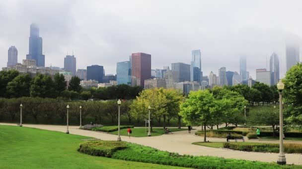 Widok na panoramę Chicago z parku na pierwszym planie — Wideo stockowe