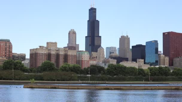 Veduta dello skyline di Chicago — Video Stock