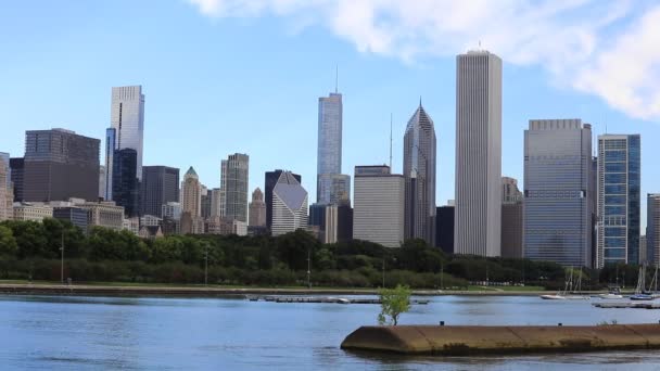 Uitzicht op de skyline van Chicago met park aan de voorzijde — Stockvideo