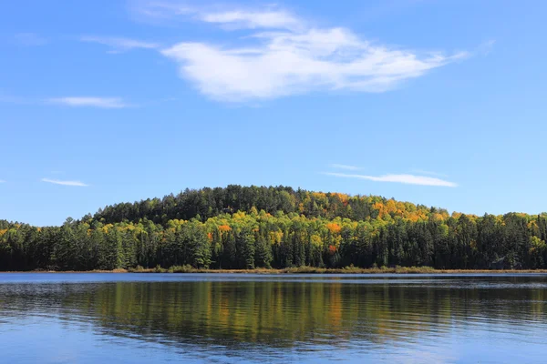 Algonquin lago y árboles en otoño —  Fotos de Stock