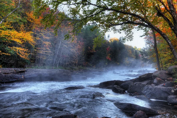 Rápidos del río Algonquin en hermosos colores de otoño — Foto de Stock