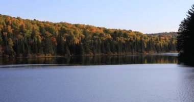 4 k Ultrahd Algonquin göl ve ağaçlarda sonbahar