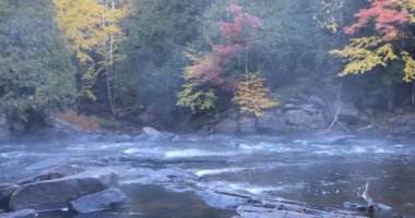 4 k Ultrahd Algonquin river rapids Güz