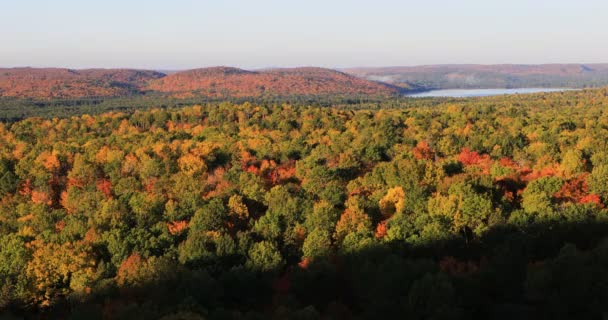 4 k Ultrahd Algonquin bos in de herfst — Stockvideo