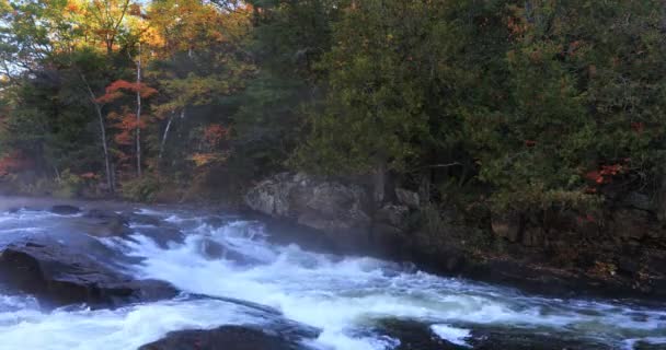 4 k Ultrahd 阿尔冈金湍急河流在美丽的秋天色彩 — 图库视频影像
