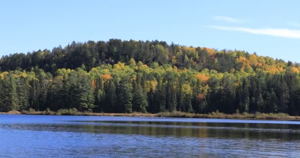 Lago 4K UltraHD Algonquin e árvores no outono — Vídeo de Stock