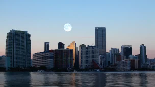 4 k Ultrahd Full Moon over Miami — Stockvideo