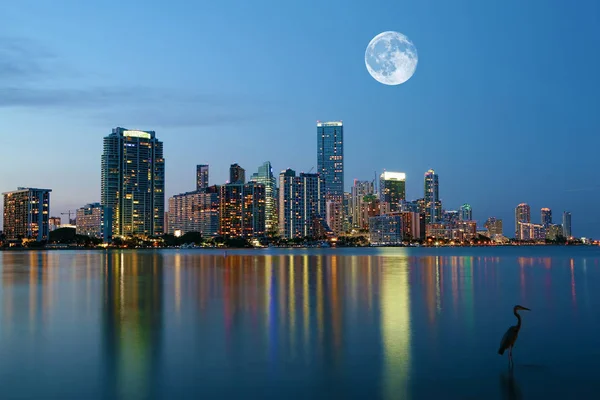 Luna subiendo sobre Miami, Florida — Foto de Stock