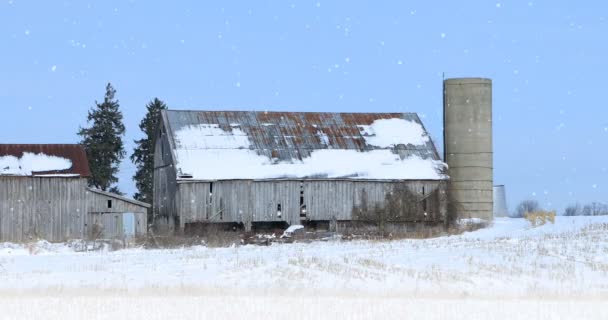4K UltraHD Old barn in a winter landscape — Stock Video