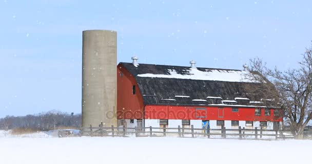 4K UltraHD Celeiro vermelho em uma paisagem de inverno — Vídeo de Stock