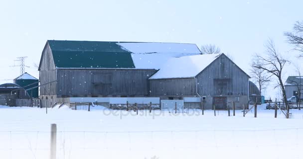 4K UltraHD Granero viejo y nieve cayendo suavemente — Vídeos de Stock