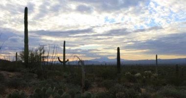 4k Twilight Ultrahd görünümünde Tucson Mountain Park