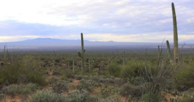 4 k Ultrahd Tucson Mountain Park görünümünde