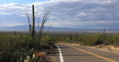 4k Tucson Mountain Park yol kenarı Ultrahd görünümü