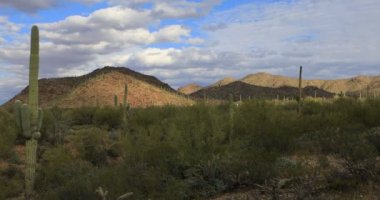 4 k Ultrahd geniş görünümünde Tucson Mountain Park