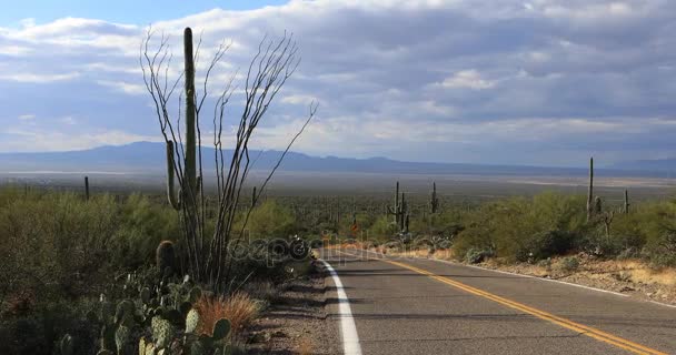 4k Ultrahd widok na poboczu drogi w Tucson Mountain Park — Wideo stockowe