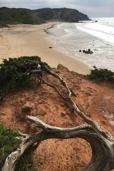 Вертикаль пляжа на юго-западе Португалии
