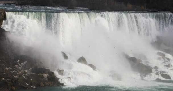 4K UltraHD El American Falls en un magnífico día de primavera — Vídeo de stock