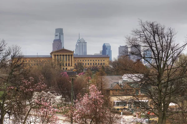 Blick auf das Stadtzentrum von Philadelphia, Blüten im Vordergrund — Stockfoto