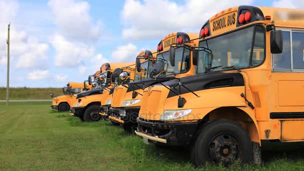 4k Ultraschall-Zeitraffer einer Reihe von geparkten Schulbussen. Zurück zur Schule — Stockvideo