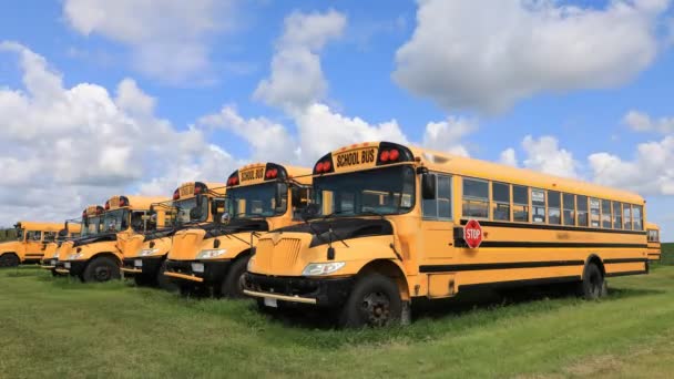 4K UltraHD Timelapse of waiting parked school buses. Back to school — Stock Video