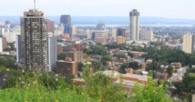 4 k Ultrahd Hamilton, Kanada manzarası ile ön planda kır çiçekleri