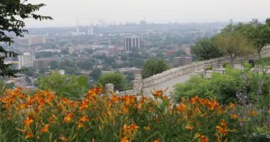 4 k Ultrahd Hamilton, Kanada manzarası ön planda çiçekli