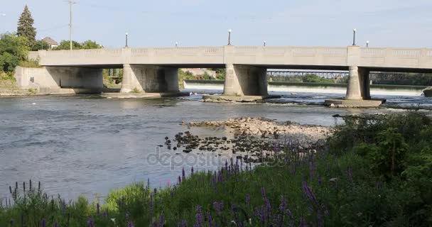 View along the Grand River in Cambridge, Canada  4K — Stock Video