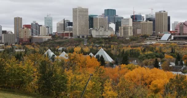 埃德蒙顿，加拿大市中心在秋天 4 k — 图库视频影像