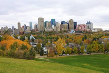 Edmonton, Kanada cityscape renkli sonbahar Aspen'de ile