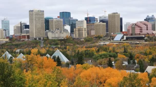 Edmonton, Kanada şehir merkezinde sonbahar, bir timelapse 4k — Stok video