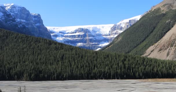 Gletsjer in het Nationaal Park Jasper 4k — Stockvideo