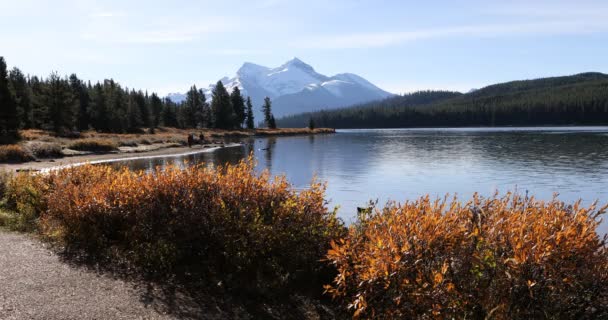 Maligne Lake in the Rocky Mountains 4K — Stock Video