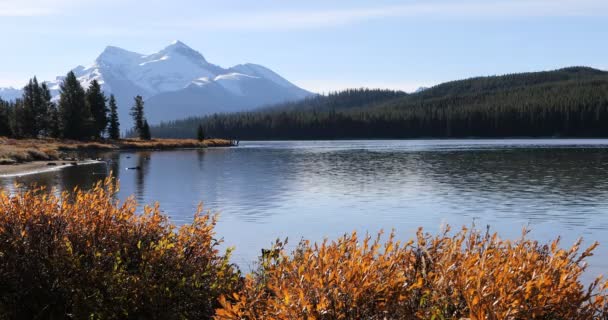 Lago Maligne perto de Jasper nas Montanhas Rochosas 4K — Vídeo de Stock