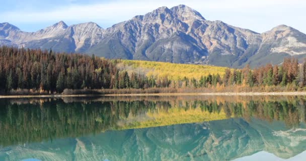 Aspens dorados reflejados en las Montañas Rocosas 4K — Vídeos de Stock