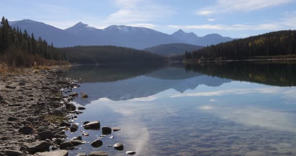 Odrazy jezero poblíž Jasper ve Skalistých horách 4k — Stock video