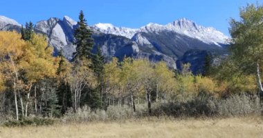 Rocky Mountain View sarı aspens 4k ile
