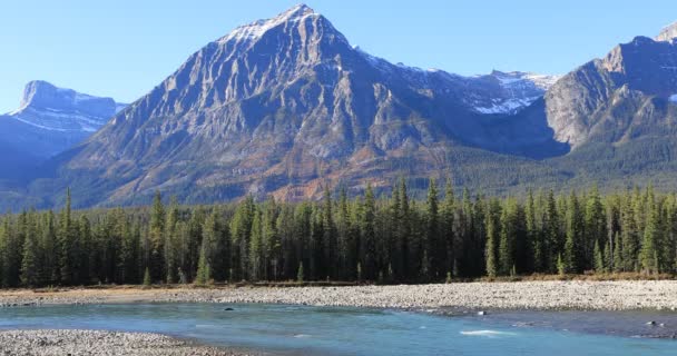 Ποταμός στα βραχώδη βουνά κοντά σε Jasper 4k — Αρχείο Βίντεο