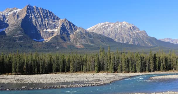 Bella scena fluviale nelle Montagne Rocciose 4K — Video Stock