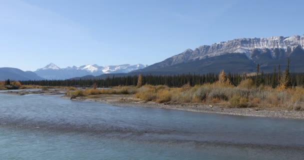 Athabasca nehir sahne Rocky dağlarında 4k — Stok video