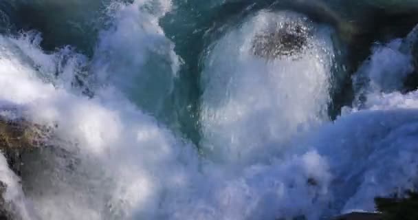 Águas das Cataratas de Athabasca no Parque Nacional Jasper 4K — Vídeo de Stock