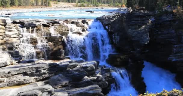 Athabasca Falls in het Nationaal Park Jasper 4k — Stockvideo