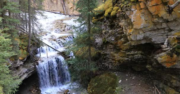 バンフ国立公園、カナダ 4 k、渓谷の滝 — ストック動画