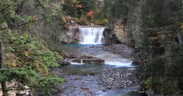 Водопад в каньоне Джонсон, Национальный парк Банф, Канада 4K — стоковое видео