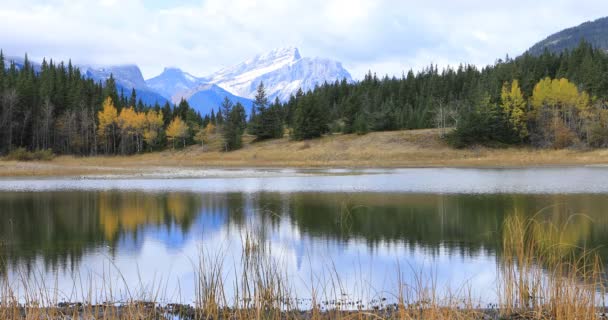 Lago y Montañas en Bowman Valley Provincial Park, Canadá 4K — Vídeo de stock