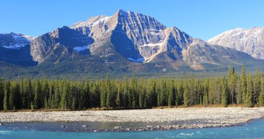 Athabasca Nehri ile Rocky Dağları