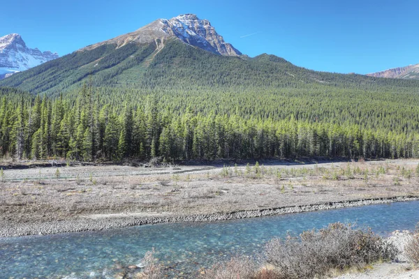 Góry Skaliste z Athabasca rzeki w planie — Zdjęcie stockowe