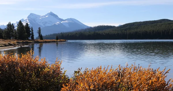 Widok na jezioro Maligne w górach skalistych — Zdjęcie stockowe