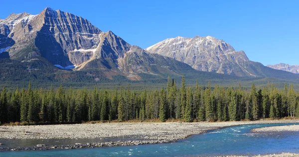 Szczyty gór skalistych z rzeki Athabasca z przodu — Zdjęcie stockowe